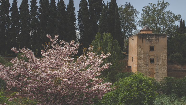 Granada Park Inside AlHambra Complex
