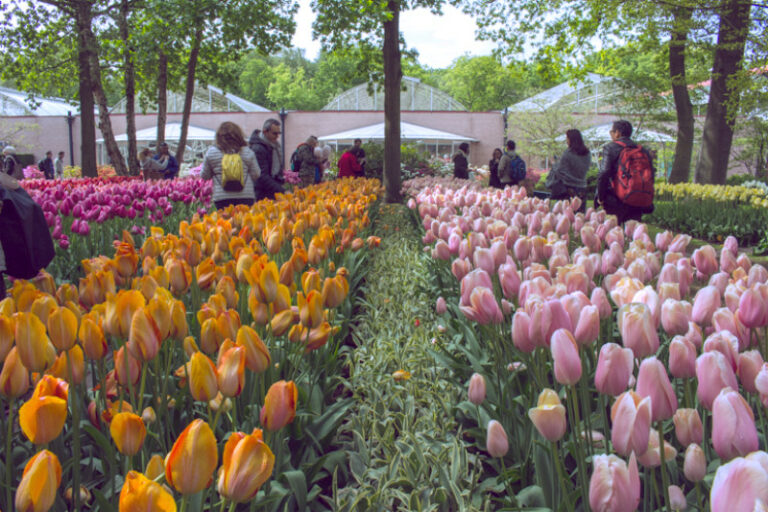 Taman Bunga Keukenhof Belanda