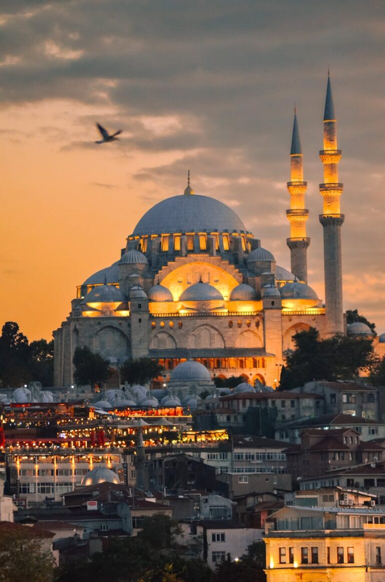 illuminated suleymaniye mosque above the houses of istanbul